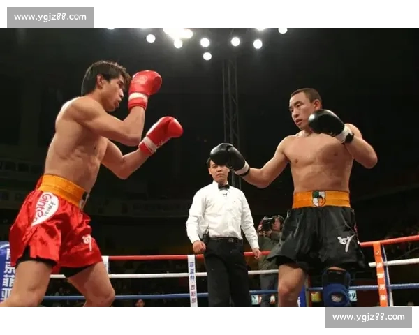 柳海龙对决宝力高草原勇士与擂台王者的巅峰生死战世纪传奇终极荣耀